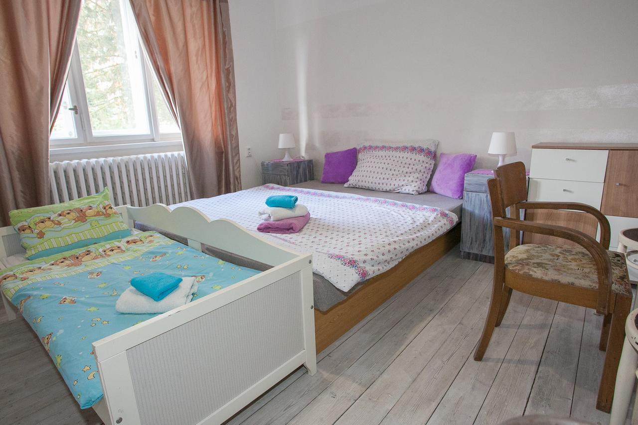 Vila Sazava Bagian luar foto