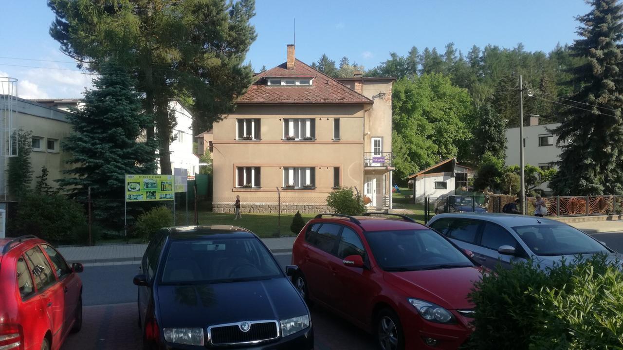 Vila Sazava Bagian luar foto